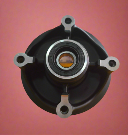 PORTA CATALINA HONDA CB110 GENERICO REFERENCIA 42615-KWS-900ZA